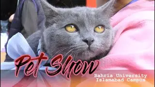 Основные моменты выставки домашних животных 🐱 | Кампус Университета Бахрия в Исламабаде
