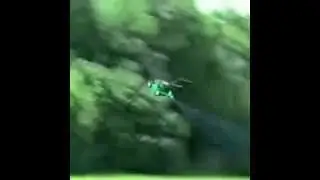 Lawn Mower Vine