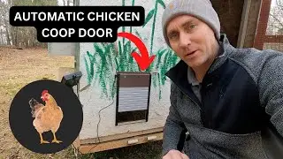 Setting up an Automatic Door for our Mobile Chicken Coop: A Fun and Easy DIY Project