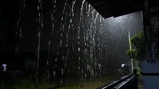 Gentle Midnight Rain Sounds for Stress Relief and Peaceful Rest by JemsRain