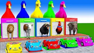 Long Slide Game With Cow Elephant Gorilla Hippopotamus Tiger 3d Animal Game Funny 3d Animals
