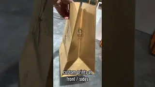 Your Pack Tailor Custom Logo Print Various Options for Paper Bags Disposable