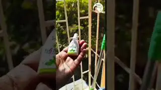 Zindagi Stevia I 100% natural Sweetener #zindagistevia #nosugar #healthy