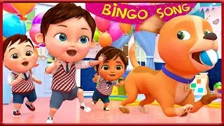 Bingo | Nursery Rhymes | Kids Songs by Coco ABC Cartoon #493