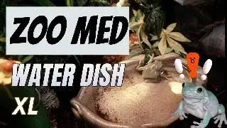 Zoo Med Water Dish Review