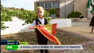Panda el Capitán en Andalucia Directo
