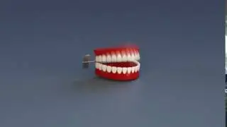 Teeth