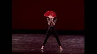 #3 *WAVEMAKER*Ethan Stiefel*AFTERNOON OF A FAUN*Tim Rushton*Johan Kobborg*CARMEN*Nikolay Tsiskaridze