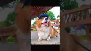 Million - View Clip on China's Tiktok ( p63 ) | N Channel | #shorts #funny #1996gaming