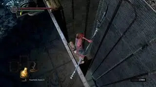 Dark Souls Remastered : Seth Elevator Skip