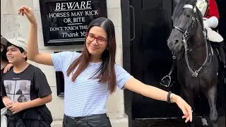 She&rsquo;s Posing inside the box, Man asks to touch King&rsquo;s Horse.