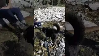 Junction Creek to Junction Falls
