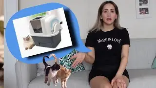 KEDİ TUVALETİ 3000 TL OLUR MU??/CATİT SMARTSİFT OTOMATİK KEDİ TUVALETİ 🐱🐱