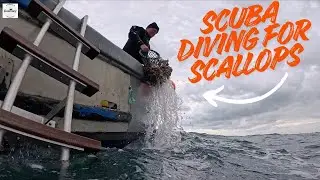 Its been a long time since we went diving for scallops so here we go again.