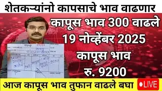 🔴19 नोव्हेंबर 2025 अकोट कापूस भाव वाढले | कापूस 10000 हजार होणार अशी बातमी | कापूस 300 भाव वाढले
