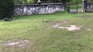 Traxxas vr46 max10 inside