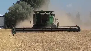 You can help name several new Montana wheat, barley varieties