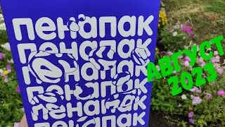 PenaPack август 2023 Распаковка, обзор и дегустация пива из пенапака \ Пьем крафтовое пиво с братом