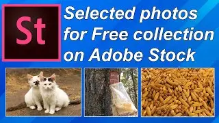 Selected photos for Free collection on Adobe stock