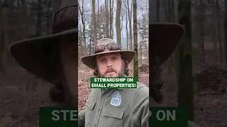Advice that Will Give You Ideas for Practicing Stewardship & Conservation on Your Small Property