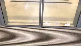 Haushahn Aufzüge in den Köln Arkaden in Köln-Kalk