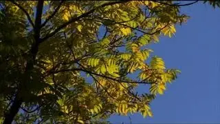 Good Question: Why Do We Feel More Tired When Seasons Change?