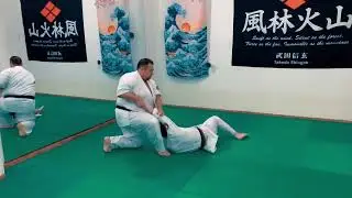 Shodokan Aikido - Hiki Otoshi 引き落し Alfonso Torregrossa 正面打ちに対する引き落し Shodokan Aikido Italia