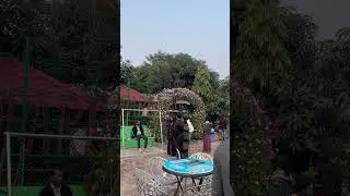 Experience Sharif Food Court & Dream Park