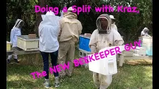Doing a Split with Kraz, The New Beekeeper Guy