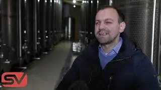 Vino Kalem