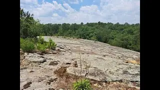 Hiking on a Rock Mountain: Panola Mountain State Park, Rock Outcrop Trail, near Atlanta, Georgia