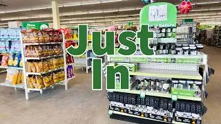Dollar Tree 2026 | NEW Finds This Week😮😮😮