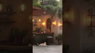 Quiet Jazz in Early Caf&eacute; Ambience - Soothing Jazz Music in Nature Coffee Shop for Work, Study