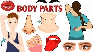 Parts of the Body | Parts of the Body for LKG Kids | Learn Body Parts & Sense Organs | #partsofbody 