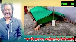 PART -15 - अपने घर के छत के उपर अजोला वेड कैसे लगायें।