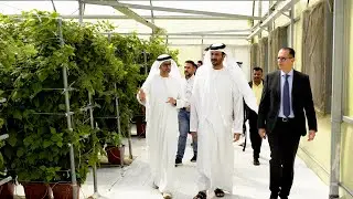 H.E. Abdullah Bin Touq Al Marri, Minister of Economy, Visits Global Farms