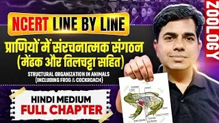 Structural Organization in Animals🐸🪳 (Frog & Cockroach)| Full Chapter | NCERT Line by Line | Zoology