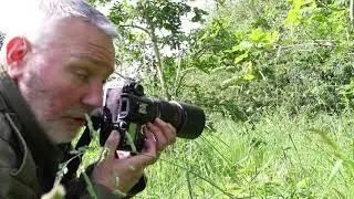 Insects and Macro. UK Nature and Wildlife photography.