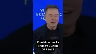 Elon Musk mocks Trump's BOARD FO PEACE #elonmusk #trump #boardofpeace #uspolitics #worldnews #shorts