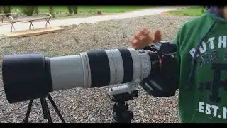 Metabones IV EF to E Mount Canon 100-400mm f/4.5-5.6L IS II USM Sony A7RII A7II
