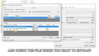 HOW TO EXTRACT VIDEO, AUDIO, SUBTITLE FROM VIDEO,MOIVE WITHOUT LOSS QUALITY