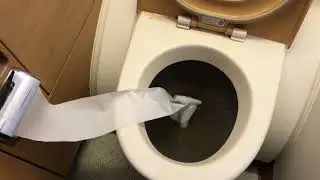 How to do the mile high toilet flush