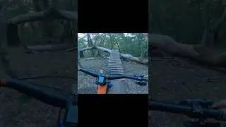 Epic Mountain Bike Ladder Drop!!! #fullsendordontsend