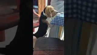 അതെന്താ എനിക്ക് ചേന തന്നാൽ 🤣🤣🤣🤣🤣