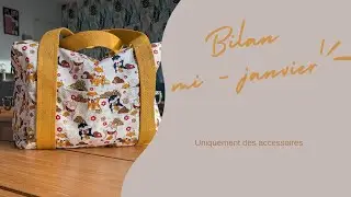 Bilan mi-janvier