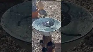 Solar birdbath in full sun in Point Venture TX #birdbaths
