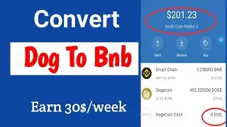 How to Convert Dogecoin cash to Bnb | Trust wallet Pancack swap | Bnb to Binance |Learn till earn