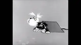 dog life 1