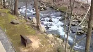 Roaring Fork creek