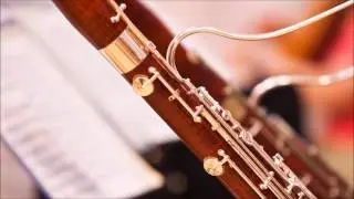 Classical Music for Studying Concentration Relaxation Study Music Bassoon Instrumental Music
